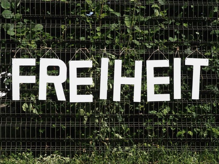 Der Begriff Freiheit dargestellt mit Holzbuchstaben an einem Zaun hängend